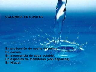 COLOMBIA ES CUARTA: En producción de aceite de palma. En carbón. En abundancia de agua potable. En especies de mamíferos (456 especies). En Níquel.   