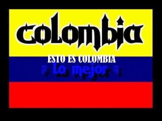 ESTO ES COLOMBIA 