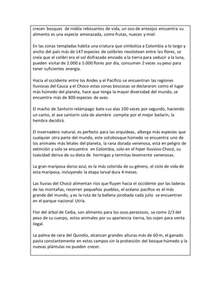 Colombia Magia Salvajedocx 