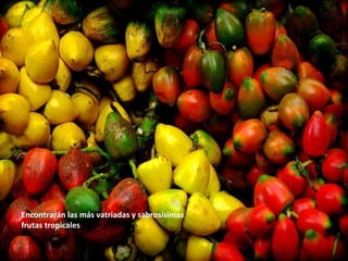 Encontrarán las más vatriadas y sabrosísimas
frutas tropicales
 