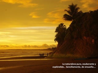 La naturaleza pura, exuberante y
espléndida… Sencillamente, de ensueño….
 