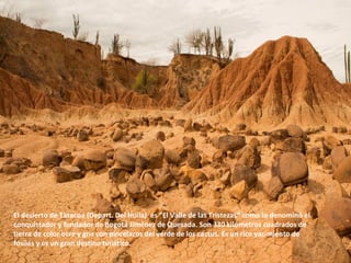 El desierto de Tatacoa (Depart. Del Huila) es “El Valle de las Tristezas” como lo denominó el
conquistador y fundador de Bogotá Jiménez de Quesada. Son 330 kilómetros cuadrados de
tierra de color ocre y gris con pincelazos del verde de los cactus. Es un rico yacimiento de
fósiles y es un gran destino turístico.
 