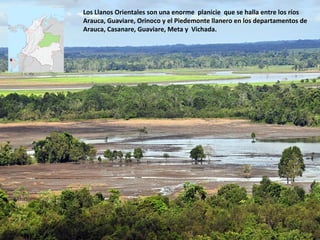 Los Llanos Orientales son una enorme planicie que se halla entre los ríos
Arauca, Guaviare, Orinoco y el Piedemonte llanero en los departamentos de
Arauca, Casanare, Guaviare, Meta y Vichada.
 