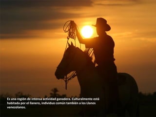 Es una región de intensa actividad ganadera. Culturalmente está
habitada por el llanero, individuo común también a los Llanos
venezolanos.
 