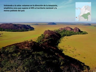 Volviendo a la selva estamos en la dirección de la Amazonia,
amplísima zona que supone el 49% el territorio nacional y la
menos poblada del país
 