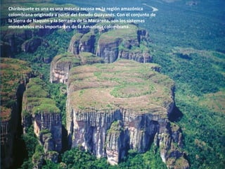Chiribiquete es una es una meseta rocosa en la región amazónica
colombiana originada a partir del Escudo Guayanés. Con el conjunto de
la Sierra de Naquén y la Serranía de la Macarena, son los sistemas
montañosos más importantes de la Amazonia colombiana.
 
