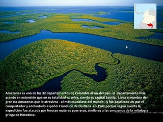Amazonas es uno de los 32 departamentos de Colombia al sur del país, el departamento más
grande en extensión que en su totalidad es selva, siendo su capital Leticia. Lleva el nombre del
gran río Amazonas que lo atraviesa - el más caudaloso del mundo - y fue bautizado así por el
conquistador y adelantado español Francisco de Orellana en 1542 porque según cuenta la
expedición fue atacada por feroces mujeres guerreras, similares a las amazonas de la mitología
griega de Herodoto.
 