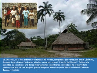 La Amazonía, es la más extensa zona forestal del mundo, compartida por Venezuela, Brasil, Colombia,
Ecuador, Perú, Guyana, Suriname, y Bolivia, conocida como el “Pulmón del Mundo”. Debido a la
densidad de su selva es uno de los departamentos colombianos en donde se ha conservado la
presencia de más de cien antiguos grupos indígenas, entre los que se destacan la familia Arawak,
Tucano, y Huitoto.
 