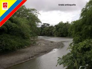 Urabá antioqueño