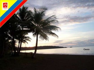 Cauca