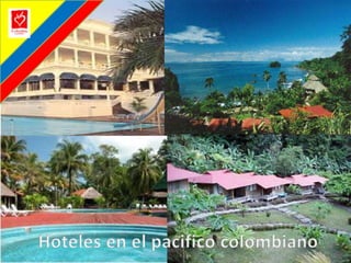 Hoteles en el pacifico colombiano
