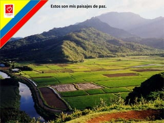Estos son mis paisajes de paz.