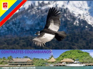 CONTRASTES COLOMBIANOS
