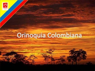 Orinoquia Colombiana