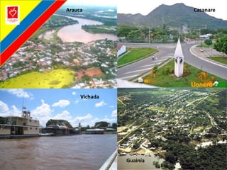 AraucaCasanareVichadaGuainía