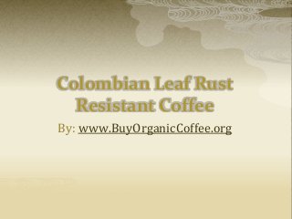 Colombian Leaf Rust
Resistant Coffee
By: www.BuyOrganicCoffee.org
 