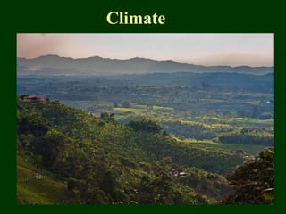 Climate 