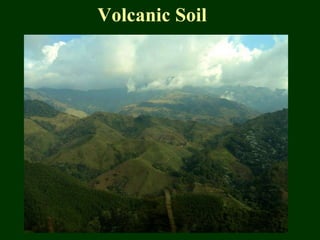 Volcanic Soil 