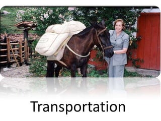 Transportation