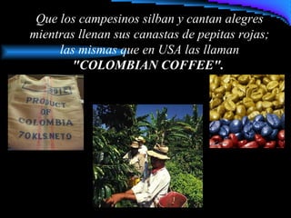 Que los campesinos silban y cantan alegres
mientras llenan sus canastas de pepitas rojas;
las mismas que en USA las llaman
"COLOMBIAN COFFEE".
 