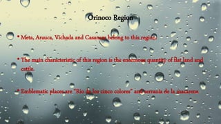 Orinoco Region
• Meta, Arauca, Vichada and Casanare belong to this region.
• The main characteristic of this region is the enormous quantity of flat land and
cattle.
• Emblematic places are “Rio de los cinco colores” and serranía de la macarena
 