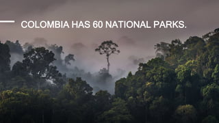 COLOMBIA HAS 60 NATIONAL PARKS.
 