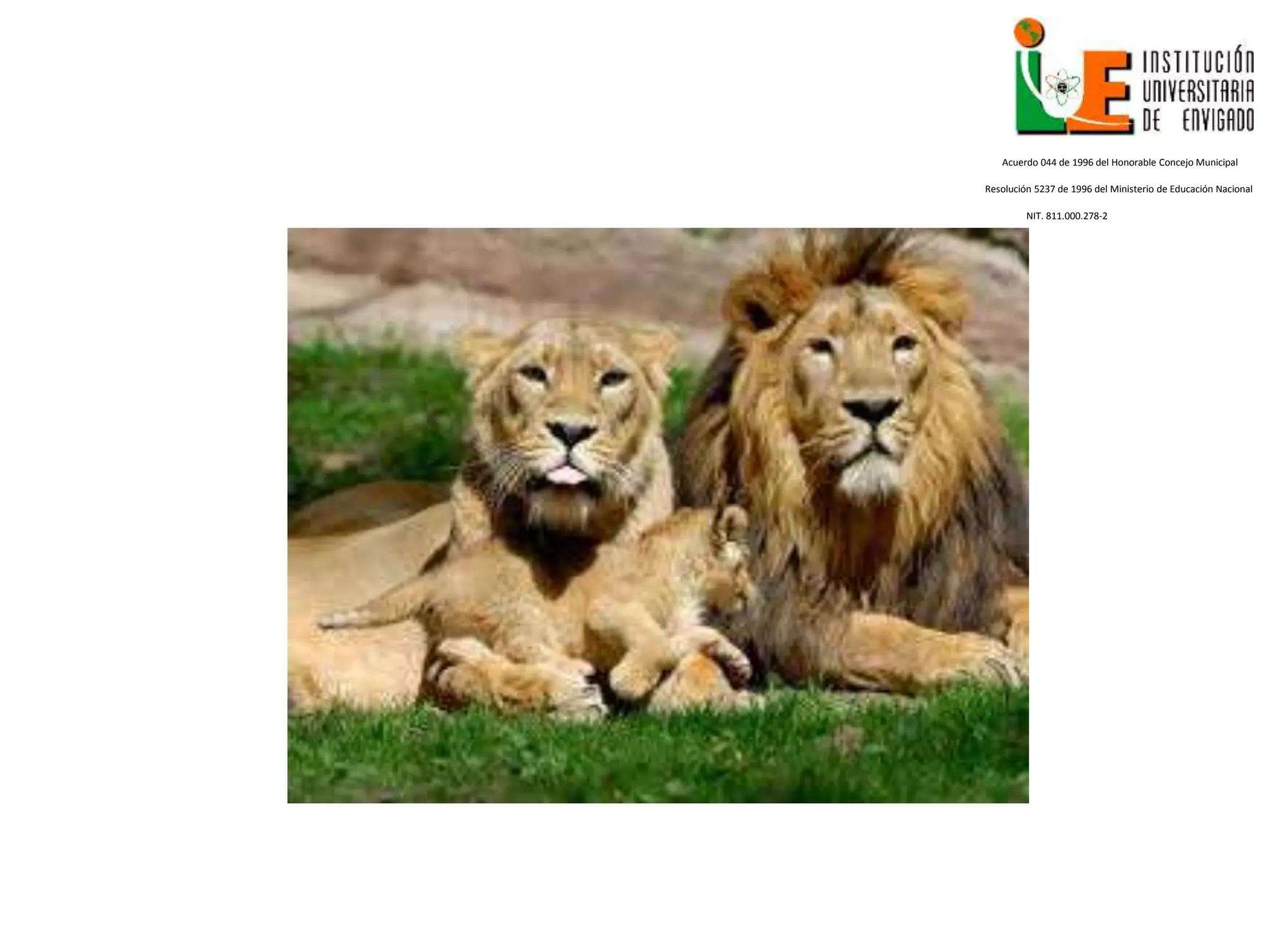 Acuerdo 044 de 1996 del Honorable Concejo Municipal
Resolución 5237 de 1996 del Ministerio de Educación Nacional
NIT. 811.000.278-2
 