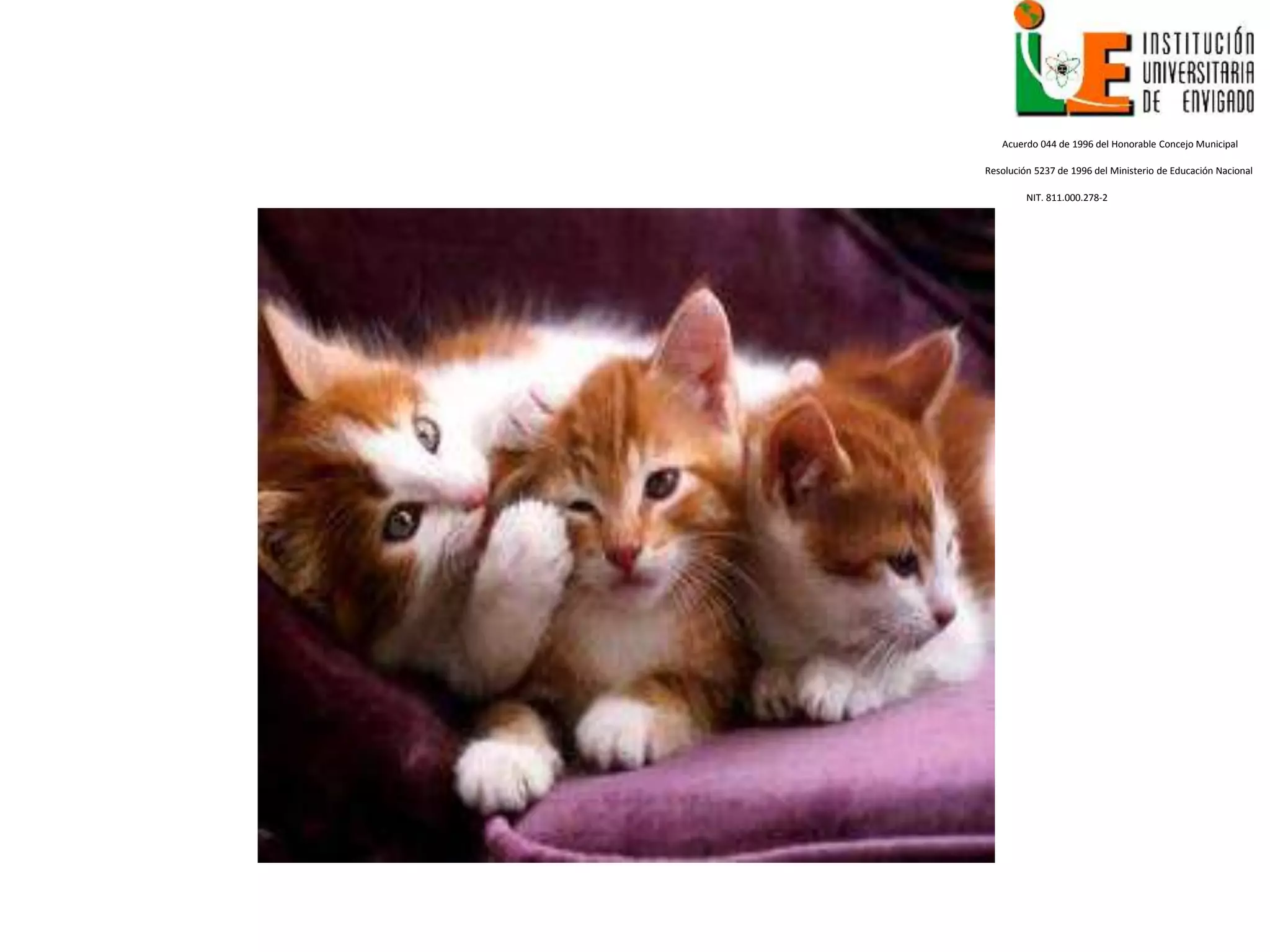 Acuerdo 044 de 1996 del Honorable Concejo Municipal
Resolución 5237 de 1996 del Ministerio de Educación Nacional
NIT. 811.000.278-2
 