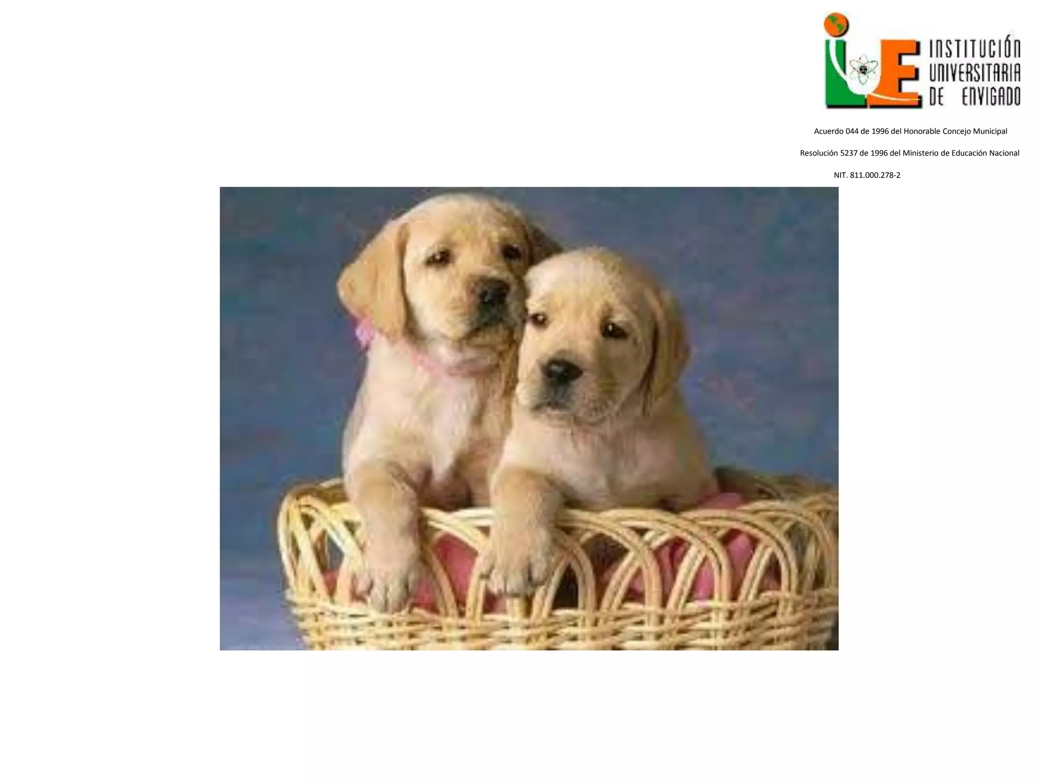 Acuerdo 044 de 1996 del Honorable Concejo Municipal
Resolución 5237 de 1996 del Ministerio de Educación Nacional
NIT. 811.000.278-2
 