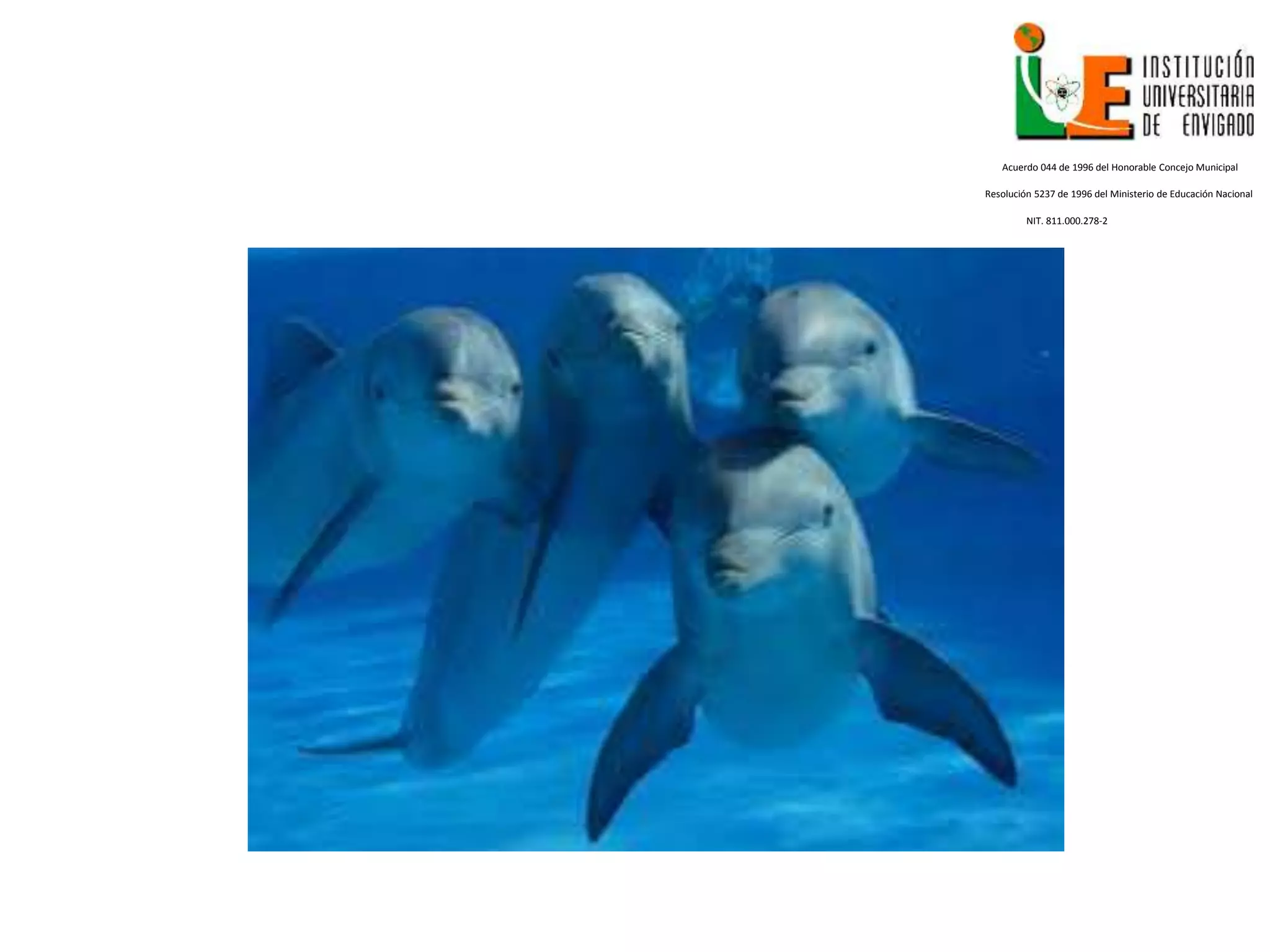Acuerdo 044 de 1996 del Honorable Concejo Municipal
Resolución 5237 de 1996 del Ministerio de Educación Nacional
NIT. 811.000.278-2
 