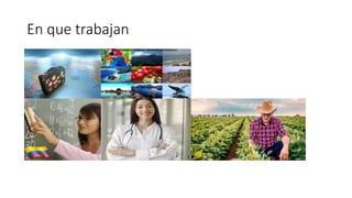 En que trabajan
 