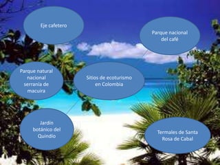 Jardín botánico del QuindíoEl Jardín Botánico del Quindío es una organización no gubernamental, sin ánimo de lucro, de carácter científico y cultural, cuya personería jurídica le fue otorgada por la Gobernación de1 Quindío, por medio de la Resolución No.OJ 037 del 5 de junio de 1979. Actualmente está registrada en la Cámara de Comercio de Armenia, conforme a la normativa vigente sobre la materia. Estamos afiliados al Botanic Garden Conservation International (1989), a la International Association of Botanic Garden (1993), a la Red Nacional de Jardines Botánicos (1988), a la Federación Colombiana de Entidades para la Conservación de la Naturaleza (1988), a la American Association of Botanic Gardens and Arboreta (1993) y a la Asociación Latinoamericana y del Caribe de Jardines Botánicos.Ubicación: esta ubicada en el departamento del Quindío