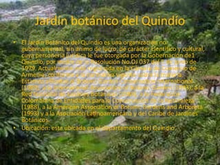 El ecoturismo en Colombia En Colombia se puede dar el ecoturismo en muchos lugares algunos de estos son:El eje cafeteroEl parque del caféJardín botánico del Quindío Termales de santa rosa de cabalParque natural nacional serranía de macuira