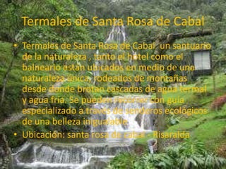 El eje cafeteroEl Eje Cafetero colombiano debe su bienaventuranza al café. La región, con el legado paisa ha creado una identidad propia en sus costumbres actuales, y con ella ha desarrollado una cultura turística encomiable. Con una arquitectura colorida y sui generis, esta región ofrece a los visitantes peculiaridades muy invitantes y locales. Un caso curioso es la masiva utilización tradicional de los vehículos Jeep Willis norteamericanos de la época de la Segunda Guerra Mundial. Estos Willis pueden verse por todas partes como elementos de transporte de personas y carga. Ubicación: lo comprenden los departamentos del Quindío, Risaralda y caldas