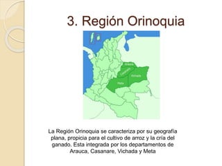 3. Región Orinoquia
La Región Orinoquia se caracteriza por su geografía
plana, propicia para el cultivo de arroz y la cría del
ganado. Esta integrada por los departamentos de
Arauca, Casanare, Vichada y Meta
 