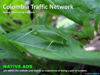 Colombia Traffic Network
Native Advertising Platform
 