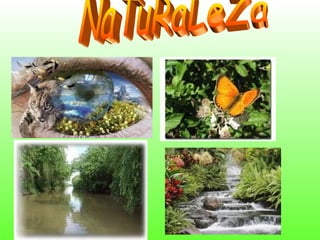 NaTuRaLeZa 