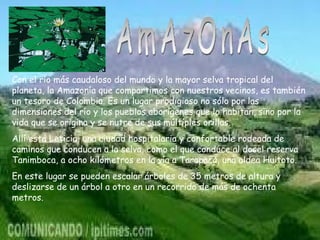 AmAzOnAs Con el río más caudaloso del mundo y la mayor selva tropical del planeta, la Amazonía que compartimos con nuestros vecinos, es también un tesoro de Colombia. Es un lugar prodigioso no sólo por las dimensiones del río y los pueblos aborígenes que lo habitan, sino por la vida que se origina y se nutre de sus múltiples orillas. Allí está Leticia, una ciudad hospitalaria y confortable rodeada de caminos que conducen a la selva, como el que conduce al dosel reserva Tanimboca, a ocho kilómetros en la vía a Tarapacá, una aldea Huitoto. En este lugar se pueden escalar árboles de 35 metros de altura y deslizarse de un árbol a otro en un recorrido de más de ochenta metros. 