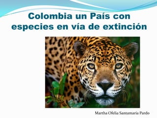 Colombia un País con
especies en vía de extinción




                 Martha Ofelia Santamaría Pardo
 
