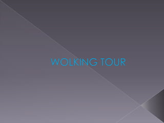 WOLKING TOUR 