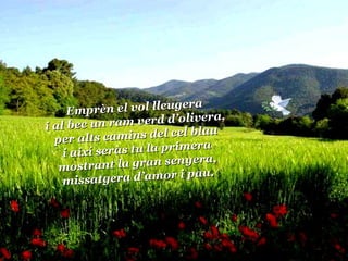 Emprèn el vol lleugera i al bec un ram verd d’olivera, per alts camins del cel blau i així seràs tu la primera mostrant la gran senyera, missatgera d’amor i pau. 