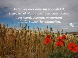 Estén les ales amb un vol cabdal, travessa el pla, la mar i els cims volant i fes camí, coloma, pregonant al món sencer la solidaritat. 