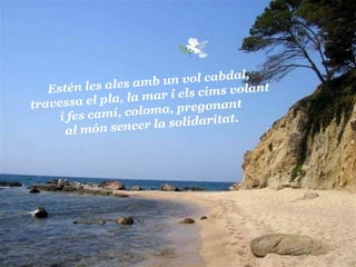 Estén les ales amb un vol cabdal, travessa el pla, la mar i els cims volant i fes camí, coloma, pregonant al món sencer la solidaritat. 