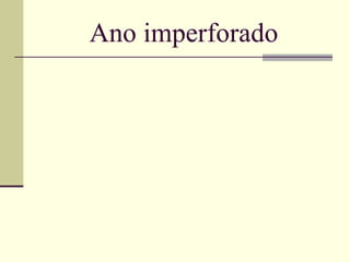 Ano imperforado 
