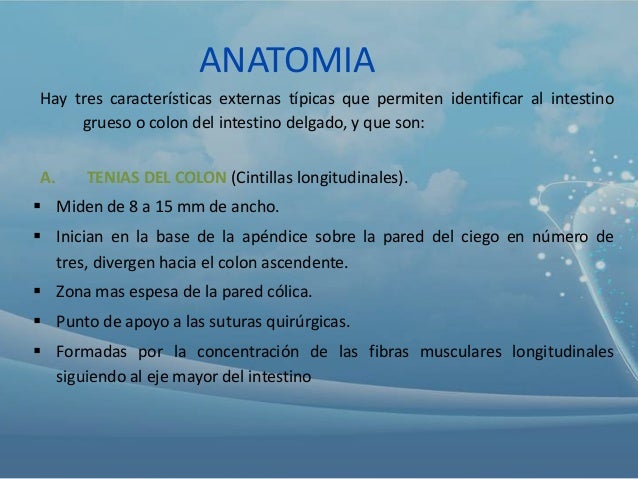 grueso anal grueso anal