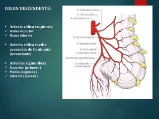 31
COLON DESCENDENTE:
 Arteria cólica izquierda
 Rama superior
 Rama inferior
 Arteria cólica media
accesoria de Couin...