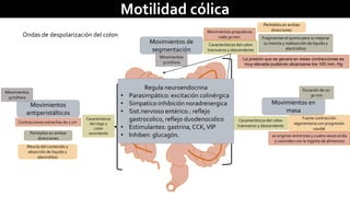 Motilidad cólica 
Ondas de despolarización del colon 
Movimientos 
antiperistálticos 
Movimientos de 
segmentación 
Duración de 10- 
30 min 
Movimientos en 
masa 
Característicos 
del ciego y 
colon 
ascendente 
Contracciones estrechas de 1 cm 
Perístalsis en ambas 
direcciones 
Mezcla del contenido y 
absorción de liquido y 
electrolitos 
Movimientos propulsivos 
cada 30 min. 
Movimientos 
5cm/hora 
Movimientos 
5cm/hora 
Característicos del colon 
transverso y descendente 
Perístalsis en ambas 
direcciones 
Fragmentan el quimo para su mejorar 
su mezcla y reabsorción de liquido y 
electrolitos 
Fuerte contracción 
segmentaria con progresión 
caudal 
Característicos del colon 
transverso y descendente 
se originan entre tres y cuatro veces al día 
y coinciden con la ingesta de alimentos 
Regula neuroendocrina 
• Parasimpático: excitación colinérgica 
• Simpatico:inhibición noradrenergica 
• Sist.nervioso entérico.: reflejo 
gastrocolico, reflejo duodenocolico 
• Estimulantes: gastrina, CCK, VIP 
• Inhiben: glucagón. 
La presión que se genera en estas contracciones es 
muy elevada pudiendo alcanzarse los 100 mm. Hg 
 