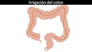 Irrigación del colon 
 