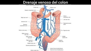 Drenaje venoso del colon 
 