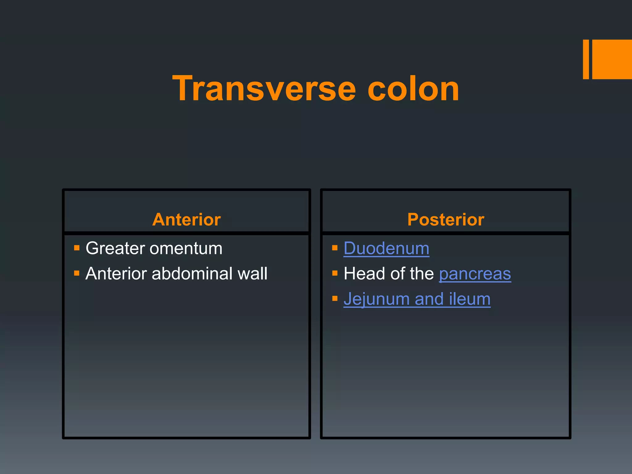 Colon/Large Intestine. | PPTX